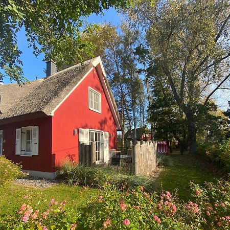 Ferienhaus Stella Glowe Exterior photo